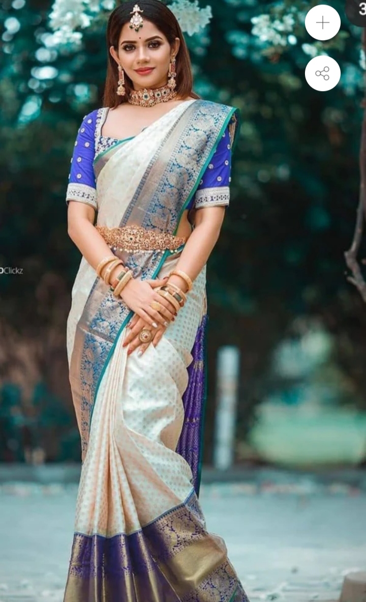 Function Wear Saree