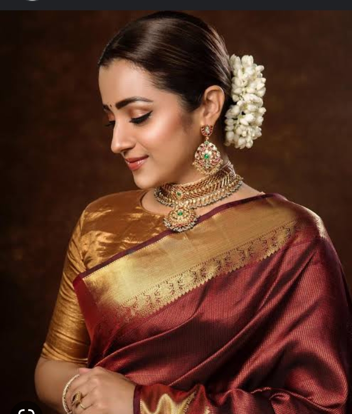 Brown saree